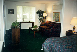 Ogles Cabins - Burch Chalet - Gatlinburg Tennessee - Living Room
