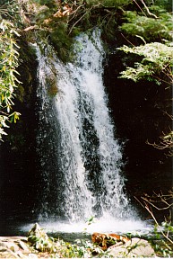 Tennessee Smoky Mountain Waterfall
