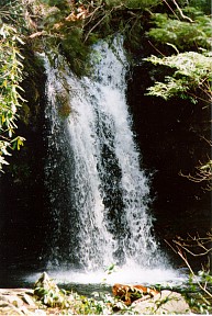 Tennessee Smoky Mountain Waterfall