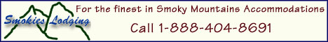 Smoky Mountain Cabin Rentals - Vacation in the Smokies Banner